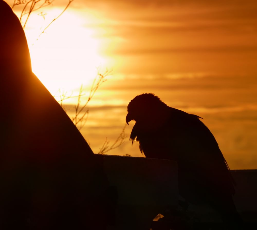 Wir genießen die Abendsonne