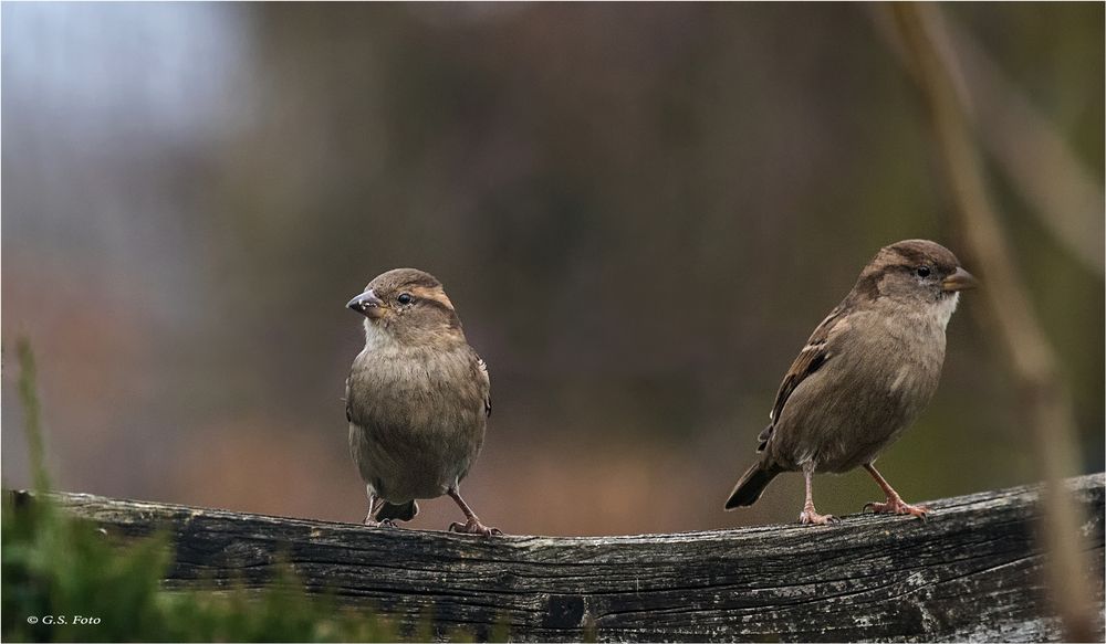 Wir haben alles im Blick.....,