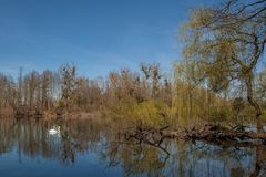 Wir haben den Frühling getroffen 