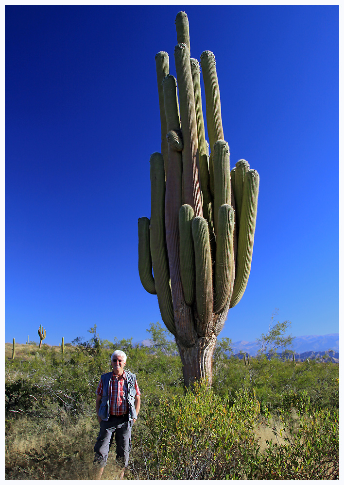 Wir haben den größten Kaktus der Welt entdeckt...