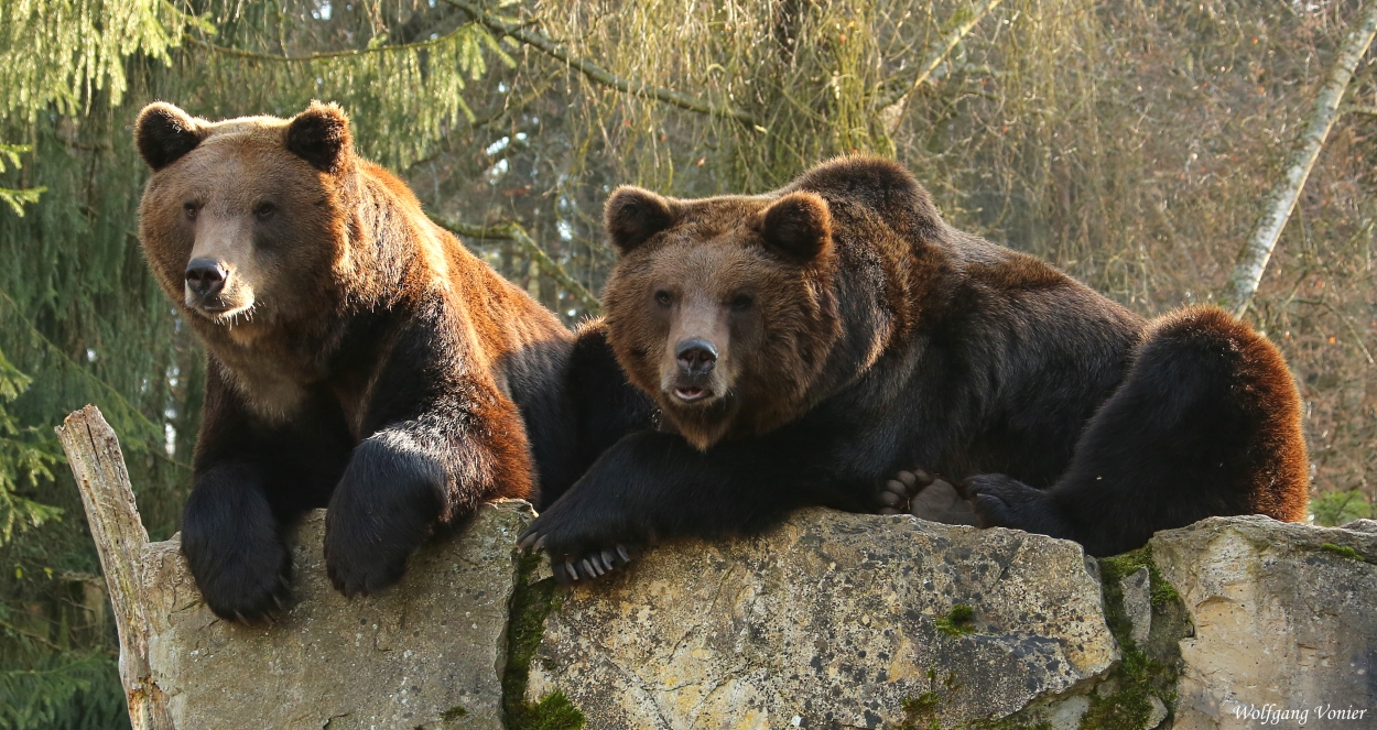 Wir haben den Überblick,