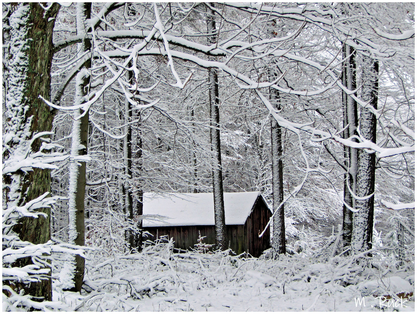 Wir haben die Hexe im tief verschneiten Wald leider nicht angetroffen ,