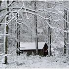 Wir haben die Hexe im tief verschneiten Wald leider nicht angetroffen ,