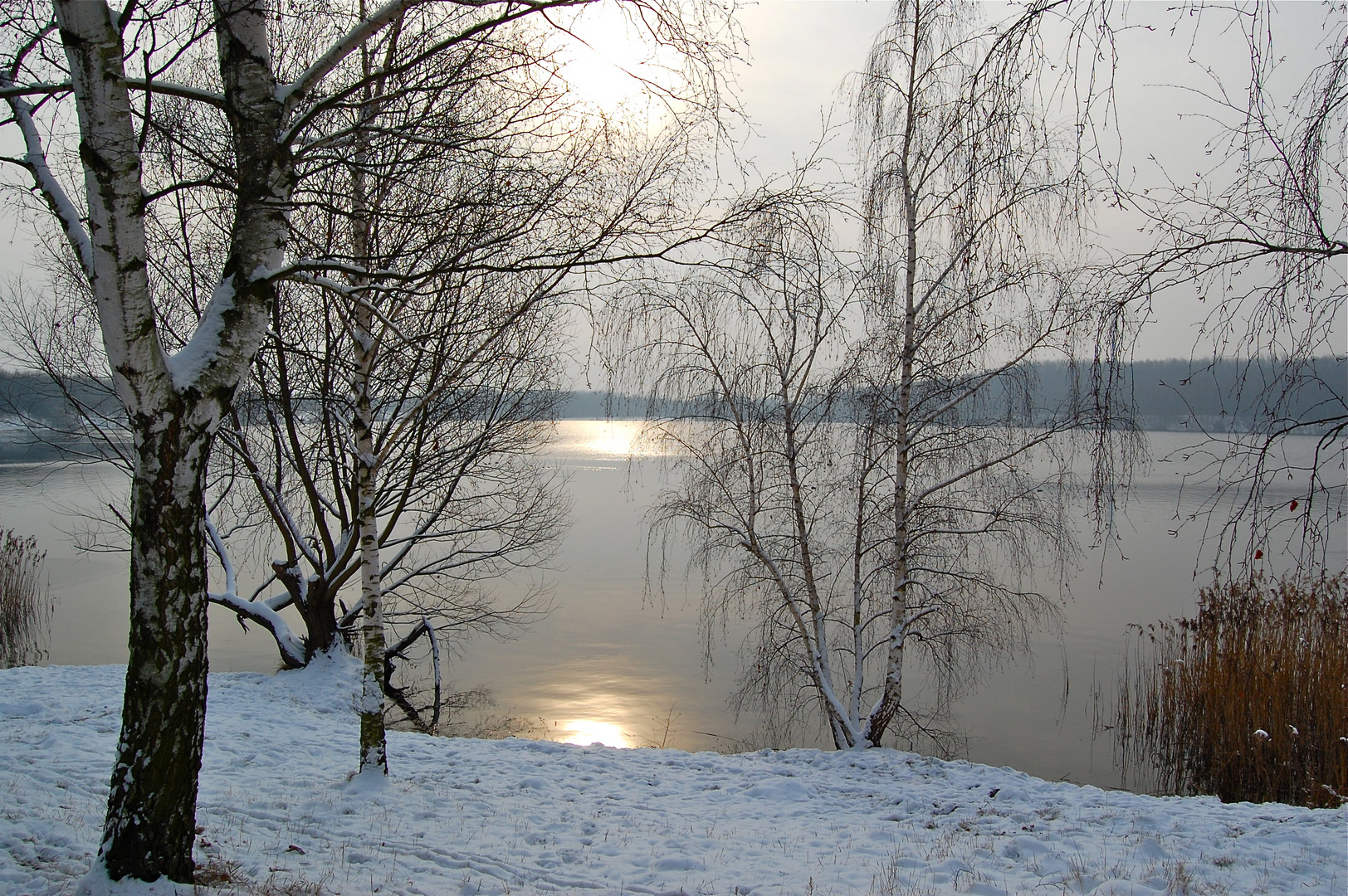 Wir haben doch noch Schnee bekommen…,