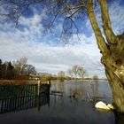 Wir haben Hochwasser