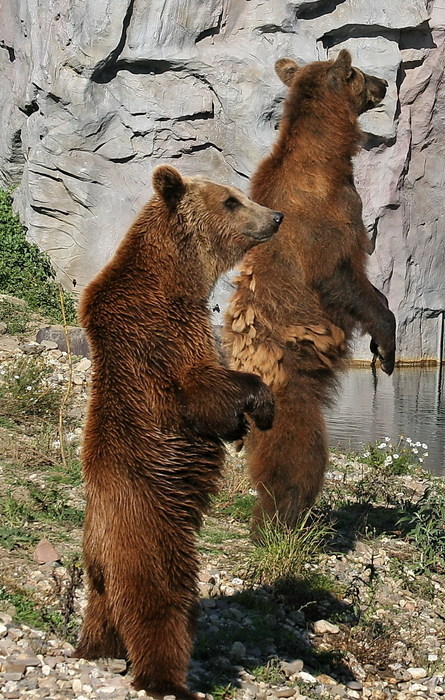 ...wir haben Hunger !!!