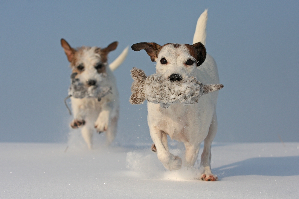 Wir haben SONNE!!...