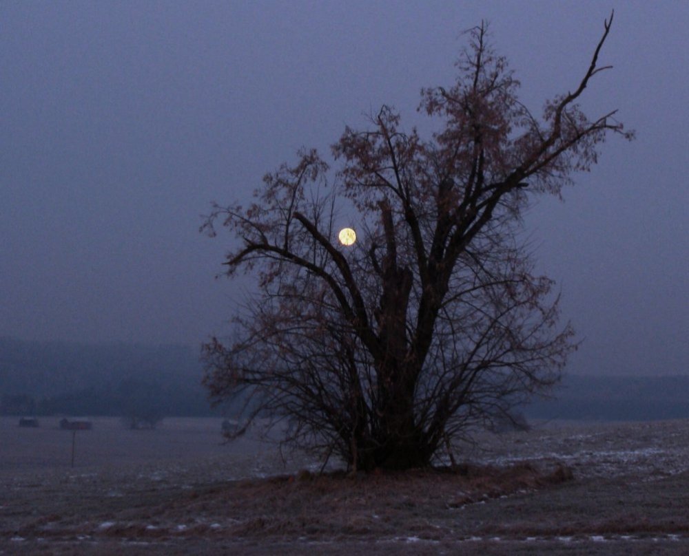 Wir haben wieder Vollmond ...