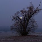 Wir haben wieder Vollmond ...