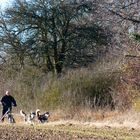 wir hätten eigentlich Schnee erwartet im Dezember