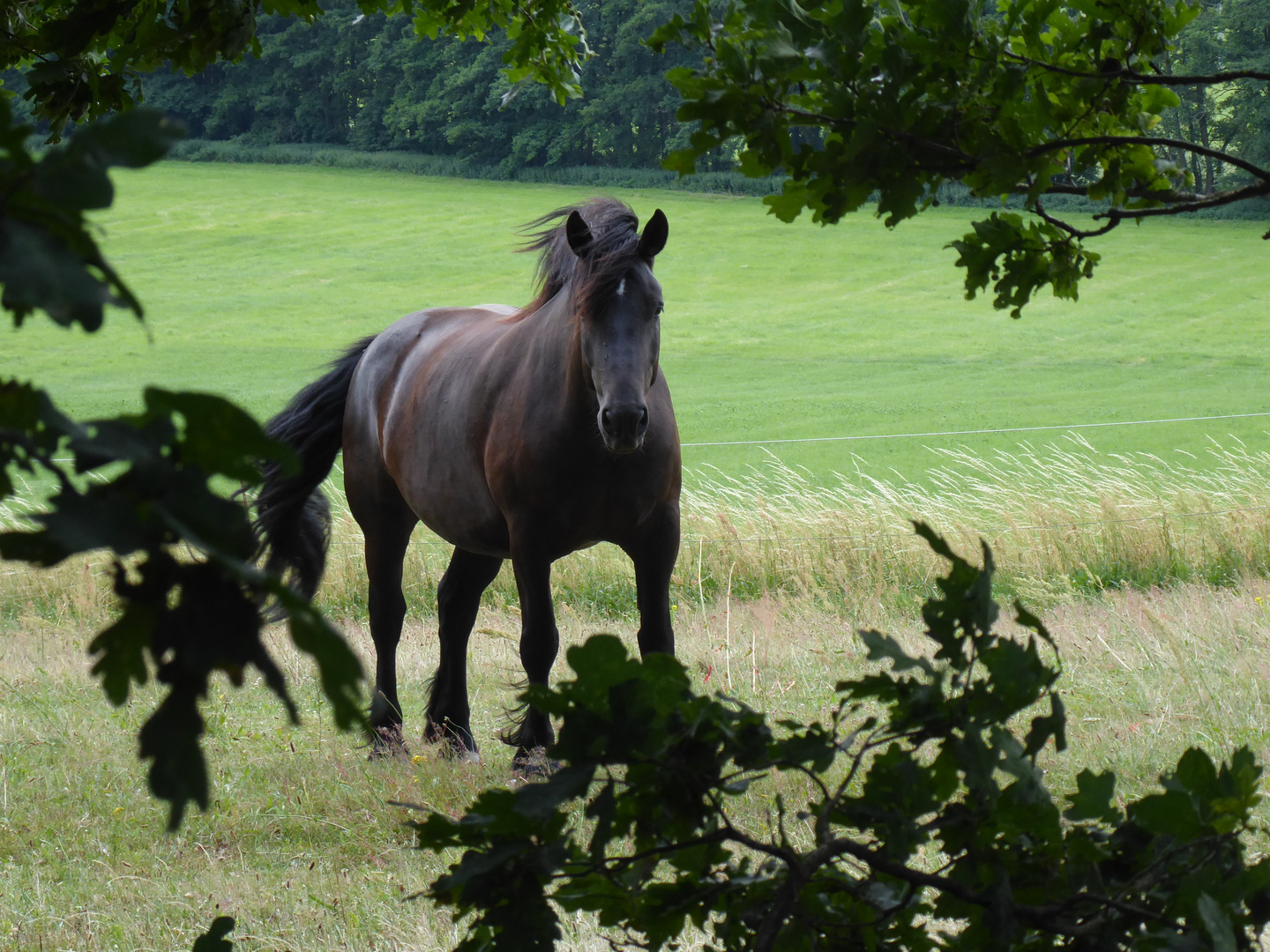 Wir hatten beide den Durchblick