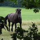 Wir hatten beide den Durchblick