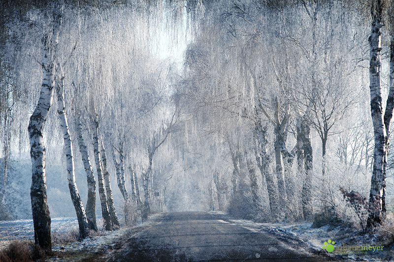 Wir hatten hier immerhin einen Tag Winter