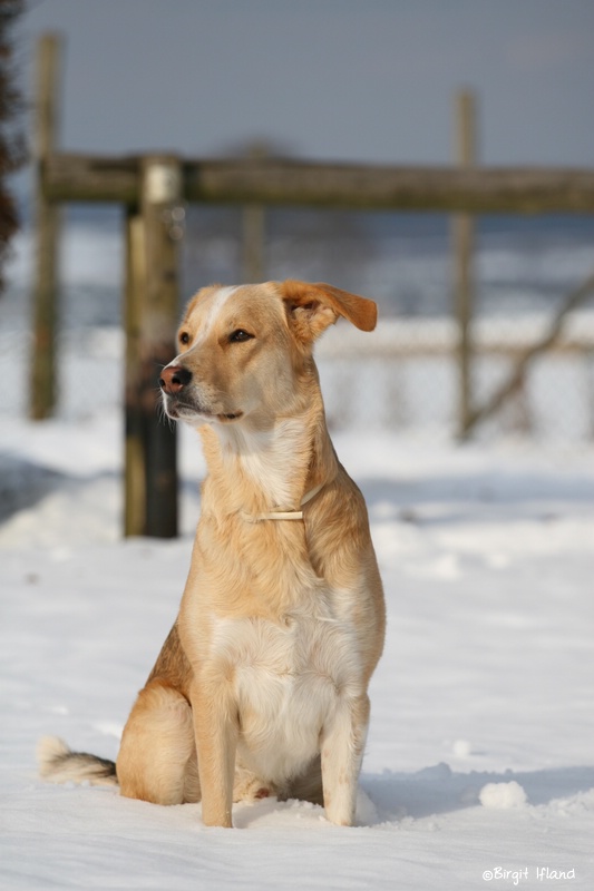 Wir hatten Schneeeeee letzte Woche !!