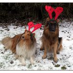 Wir helfen dem Weihnachtsmann