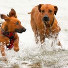 wir können auch im Wasser 