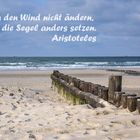 Wir können den Wind nicht ändern....