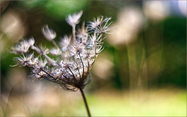 .....wir kommen wieder....