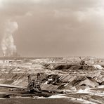 ...WIR kriegen die Erde schon kaputt...!