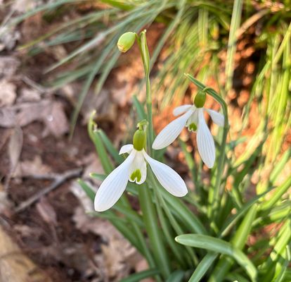 wir läuten das Wochenende ein