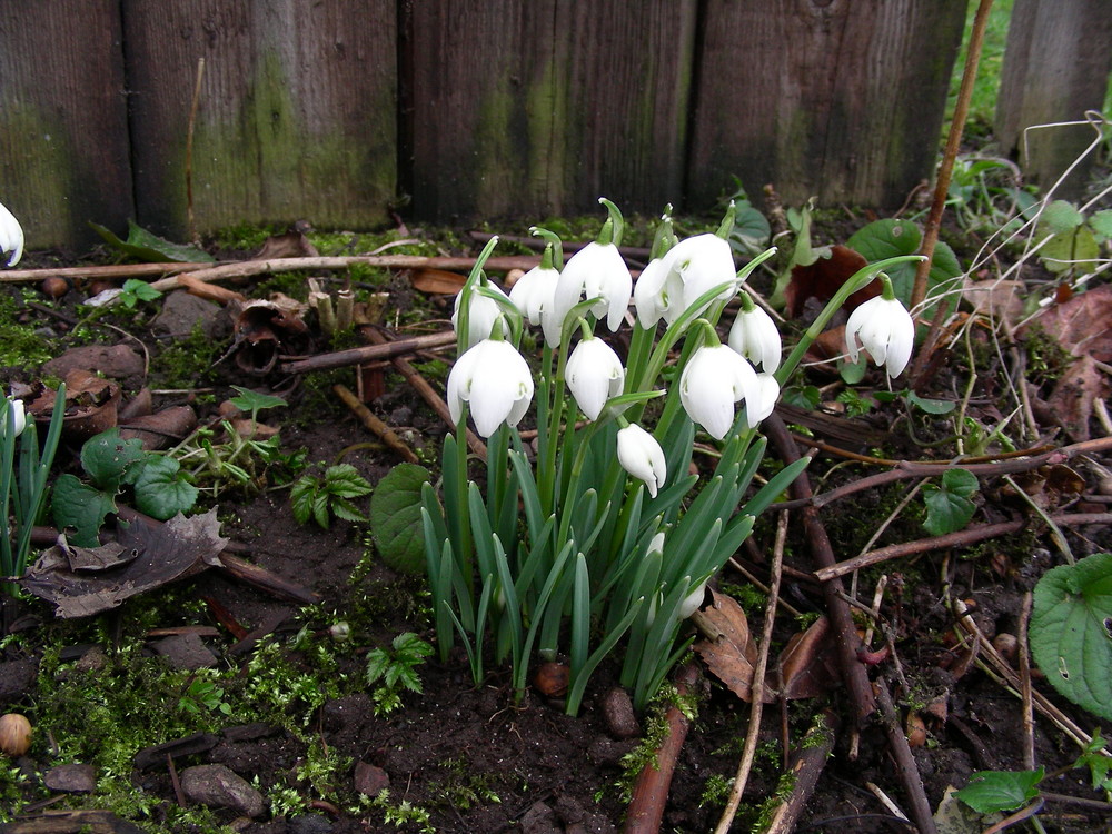 ...wir läuten den Fühling ein!