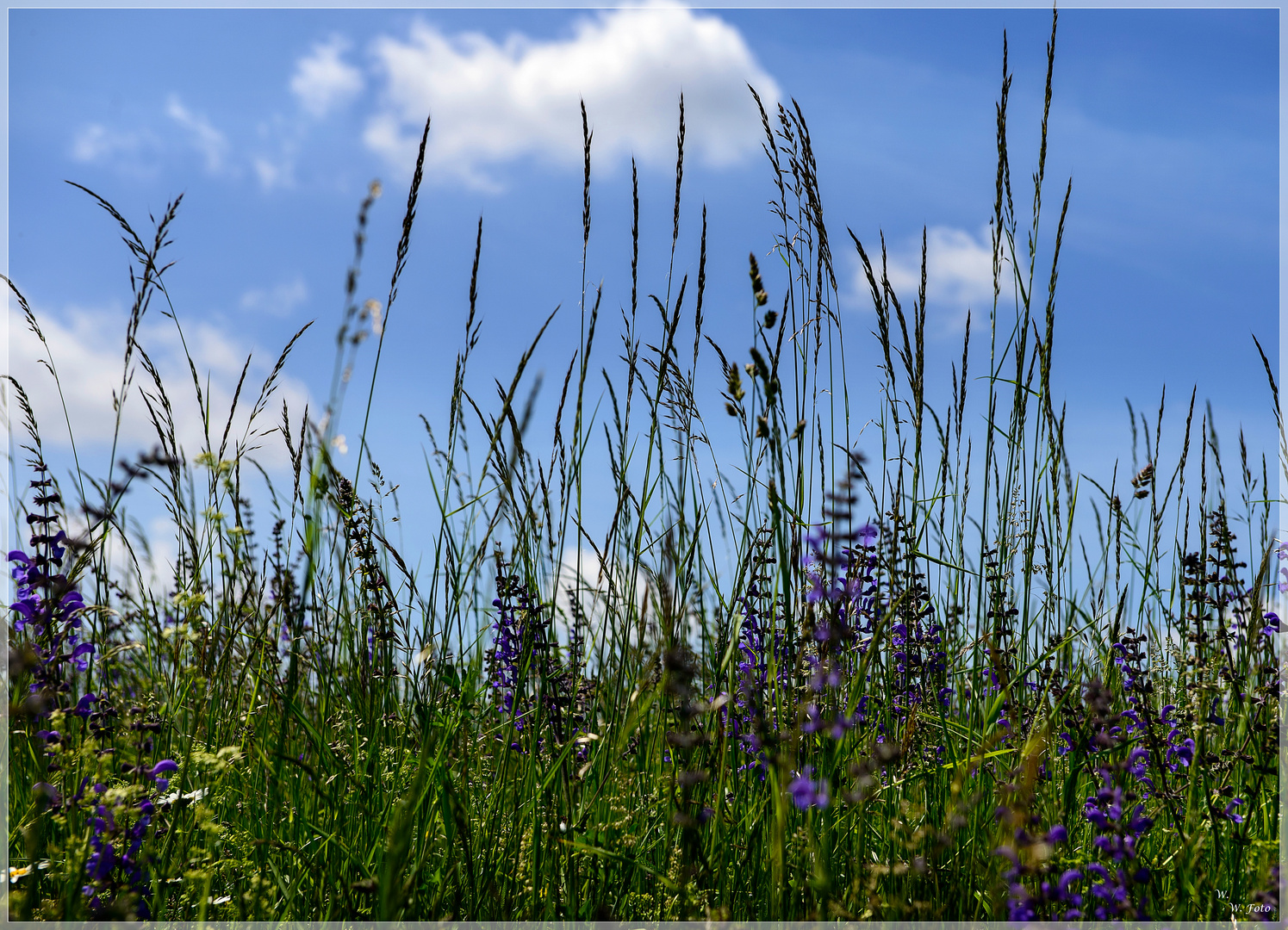 Wir lagen träumend im Gras