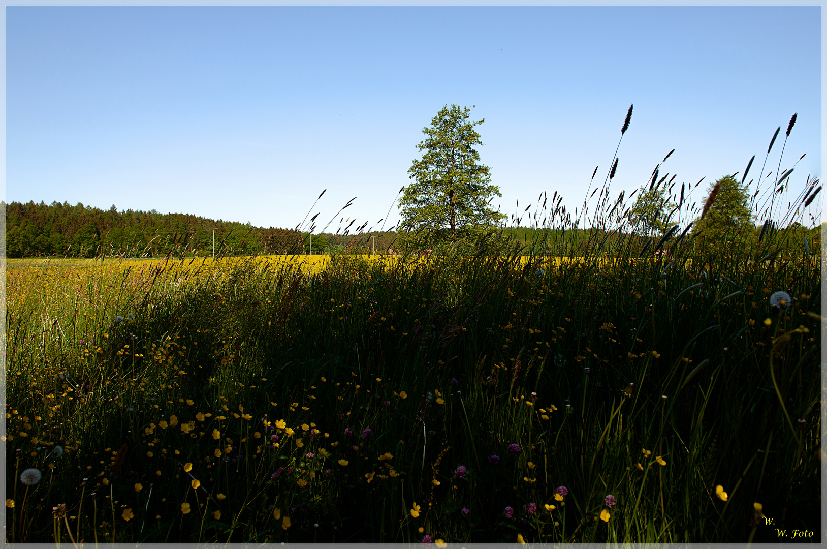 Wir lagen träumend im Gras