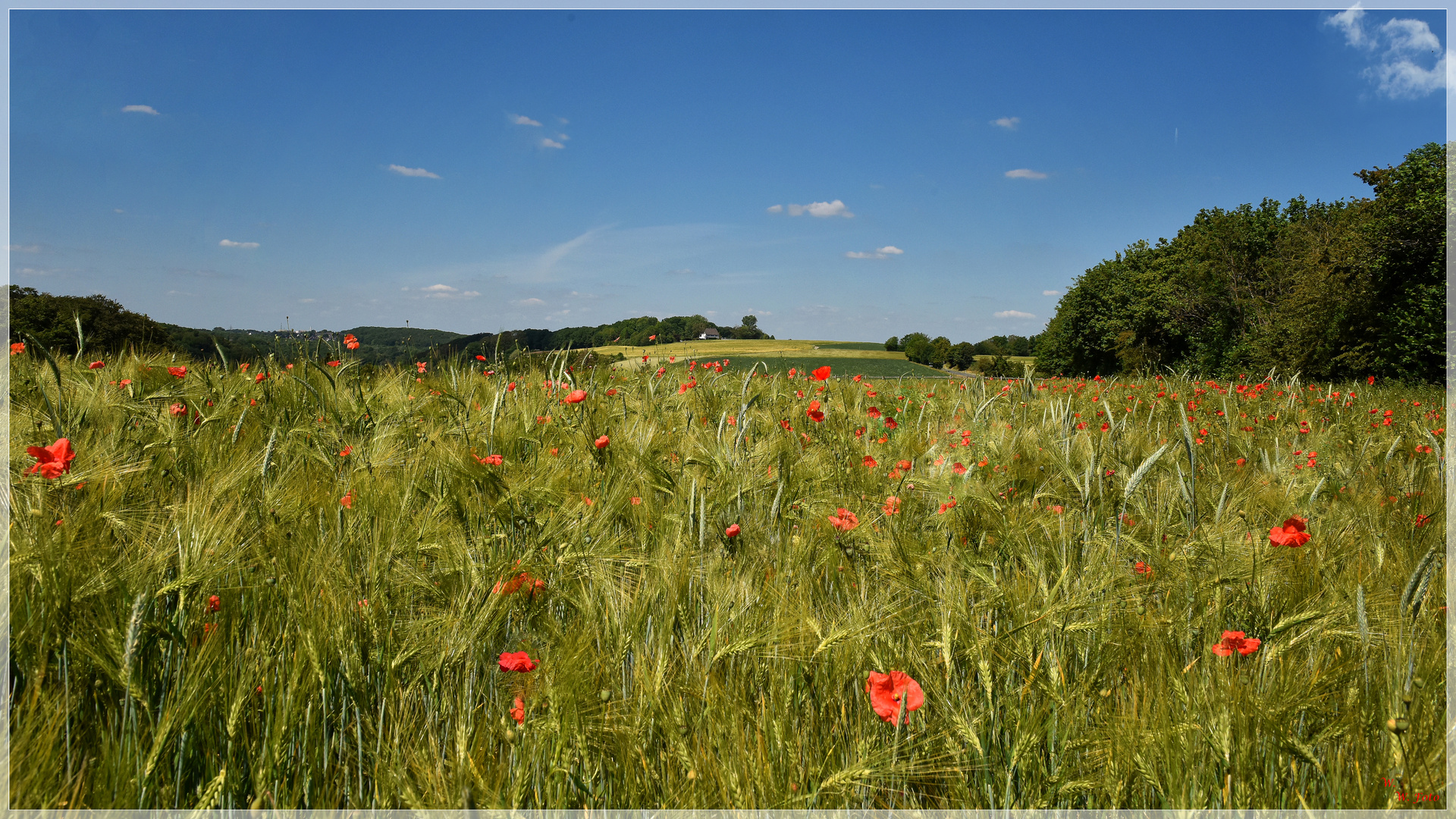 Wir lagen träumend im Gras...