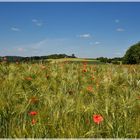 Wir lagen träumend im Gras...