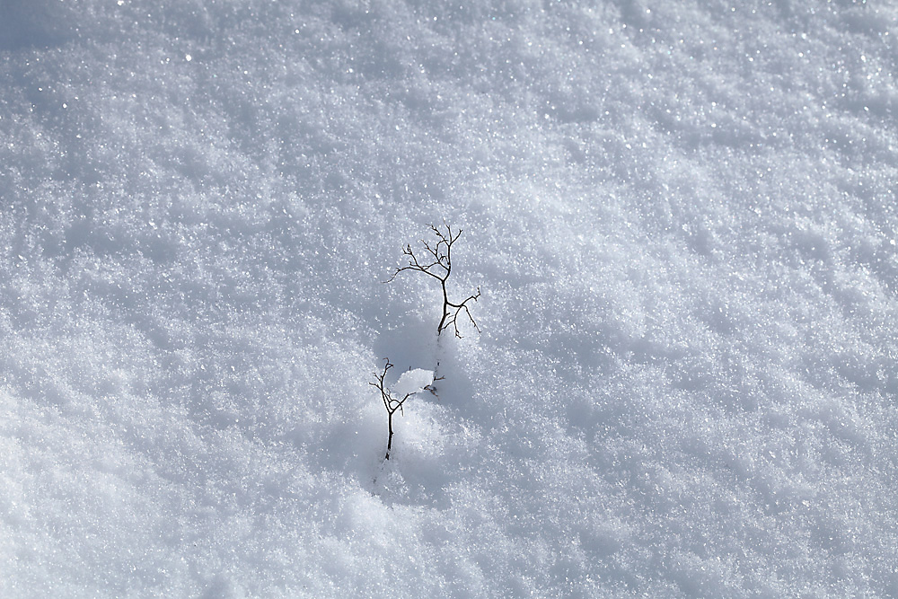 Wir lassen uns von dem bisschen Schnee doch nicht unterkriegen!!!