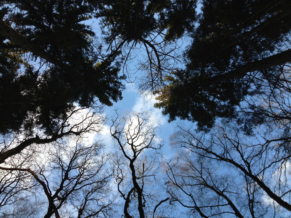 Get Wir leben alle unter dem gleichen himmel aber wir haben nicht alle den gleichen horizont For Free