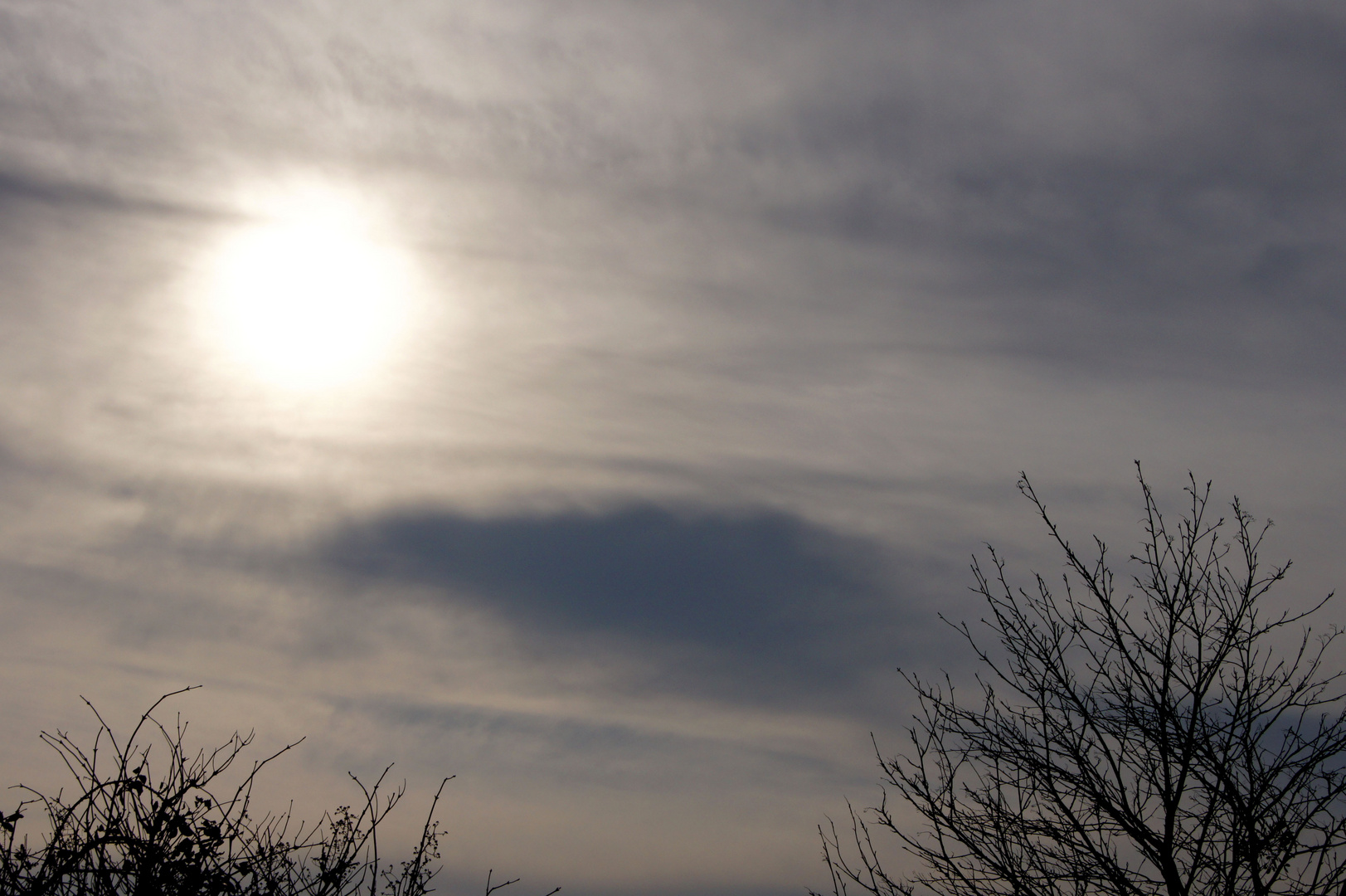 Wir leben alle unter dem gleichen Himmel, aber wir haben nicht alle den gleichen Horizont