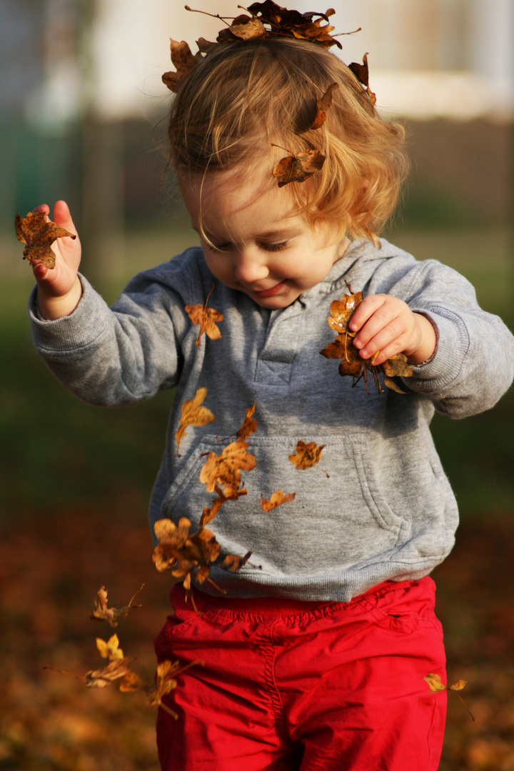 Wir lieben den Herbst!