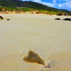 Wir lieben den Strand