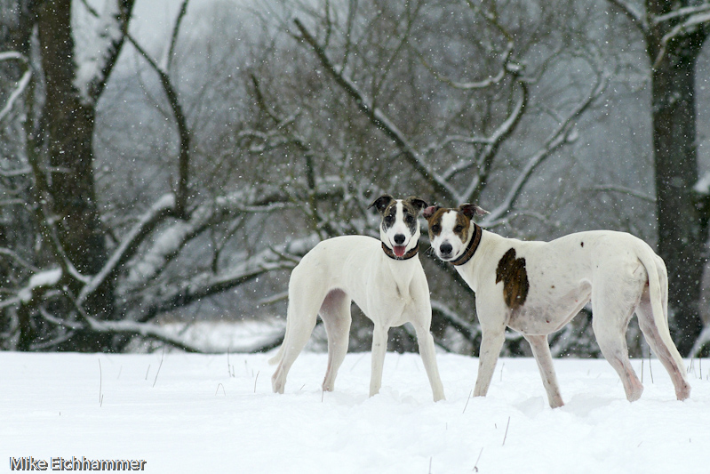 Wir lieben Schnee