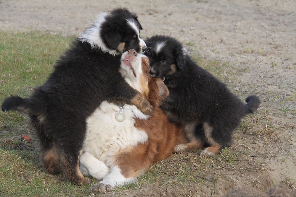 wir lieben unsere Mama