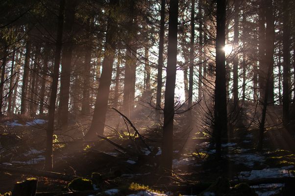 ~Wir machen den Weg frei~