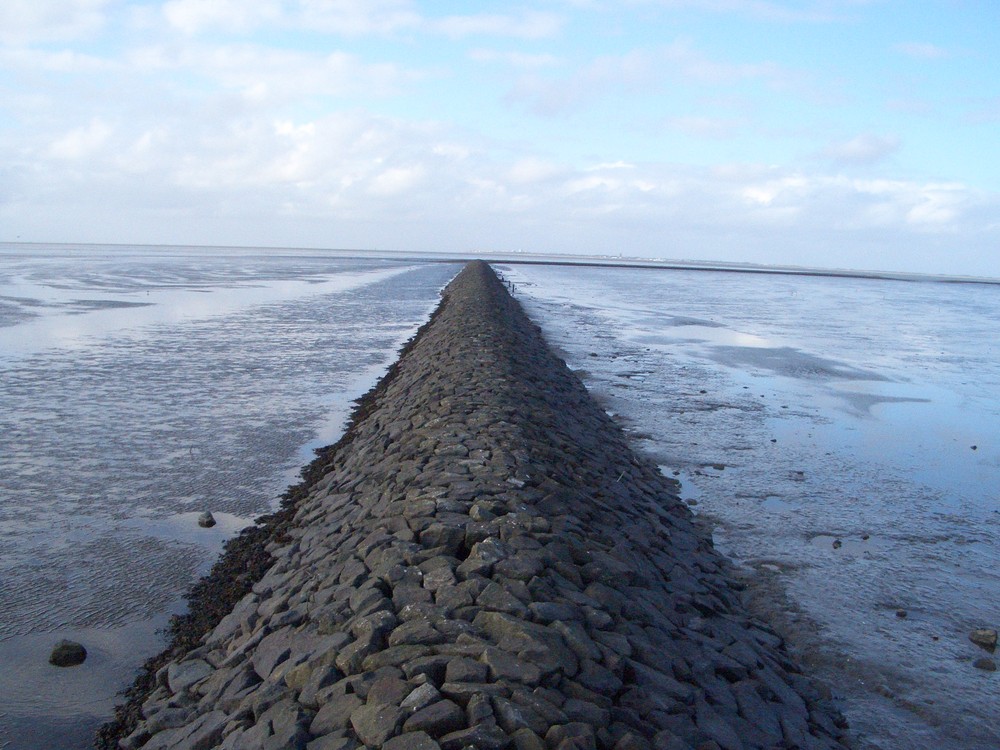 Wir machen den Weg frei Julian Flickr