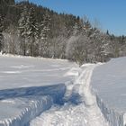 Wir machen den Weg frei