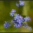 Wir machen heute blau...