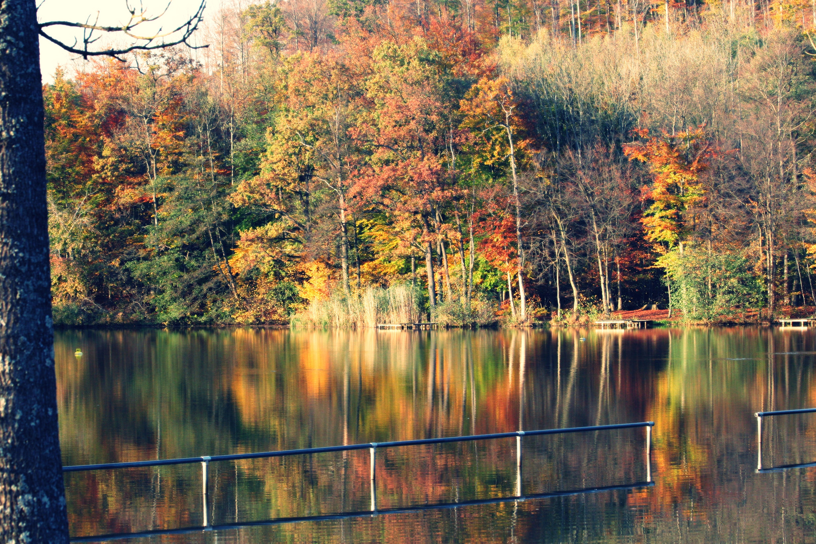 "Wir müssen nicht glauben, dass alle Wunder der Natur nur in anderen Ländern und Weltteilen seien.