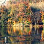 "Wir müssen nicht glauben, dass alle Wunder der Natur nur in anderen Ländern und Weltteilen seien.