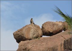 Wir näherten uns Hampi