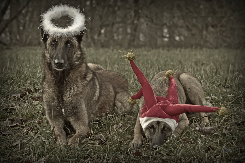 Wir riechen Weihnachten!