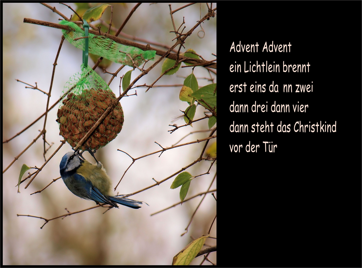 ....wir sagen Euch an den lieben Advent.....