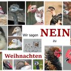  WIR SAGEN NEIN ZU WEIHNACHTEN !