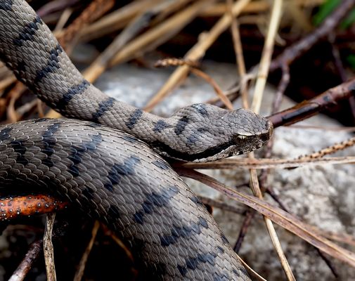 Wir schauen uns in die Augen!