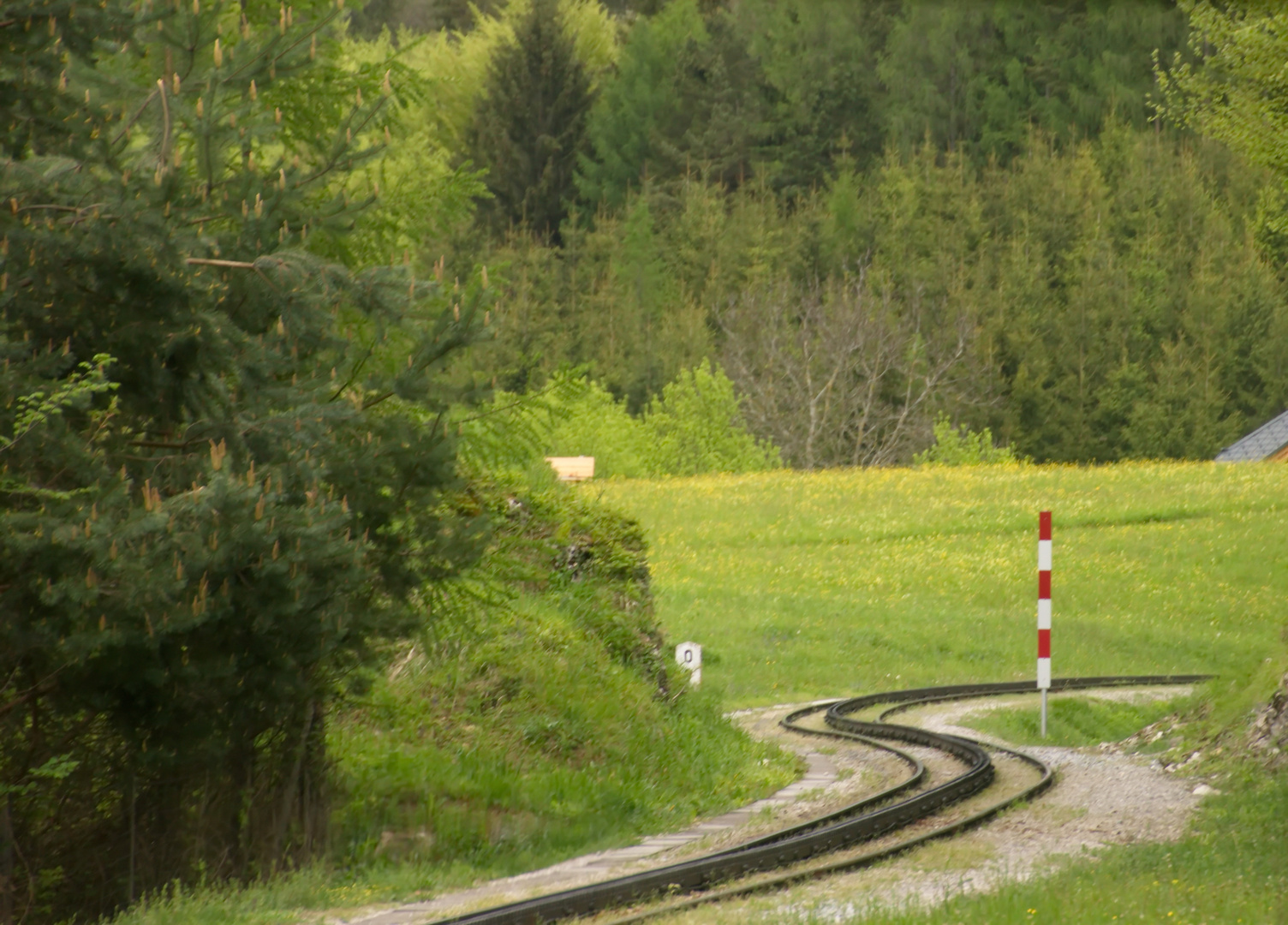 Wir "schlängeln" uns jetzt auf den Schafsberg