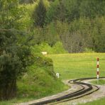 Wir "schlängeln" uns jetzt auf den Schafsberg