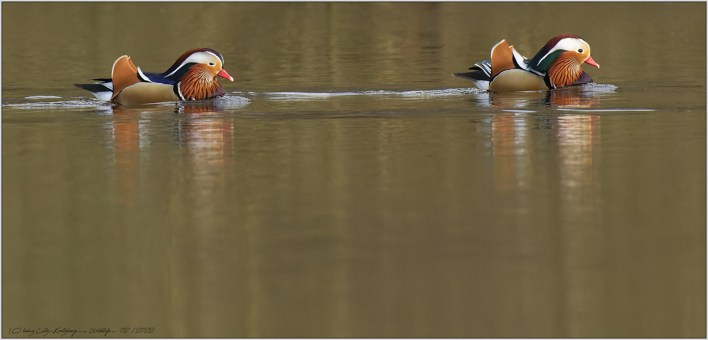 WIR , ...    schwimmen immer oben ... 